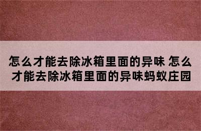 怎么才能去除冰箱里面的异味 怎么才能去除冰箱里面的异味蚂蚁庄园